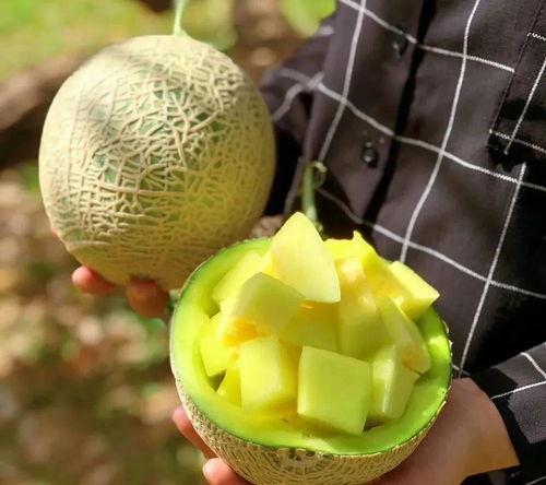 娱乐圈吃瓜壁纸高清,高清揭秘明星幕后生活 第3张 娱乐圈吃瓜壁纸高清,高清揭秘明星幕后生活 第3张